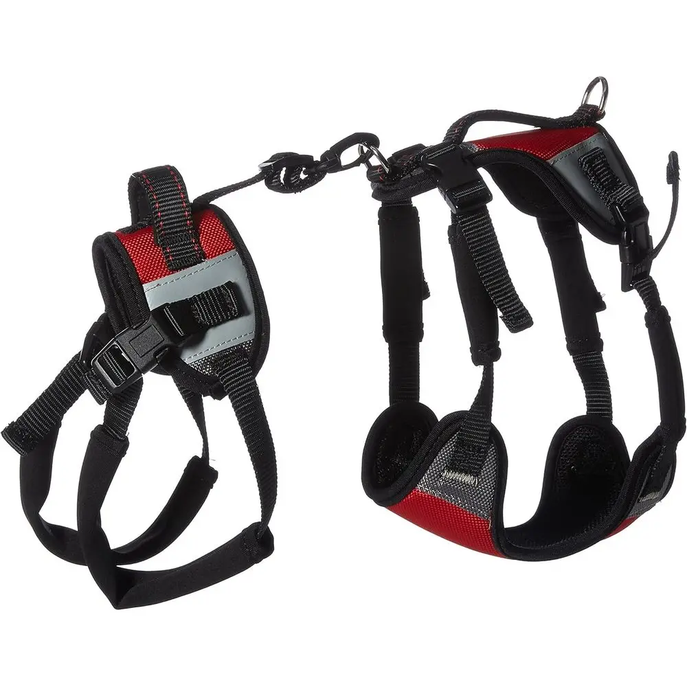 Lit and Go Dog Lead, Small, Red
Lit and Go Dog Lead, Small, Red