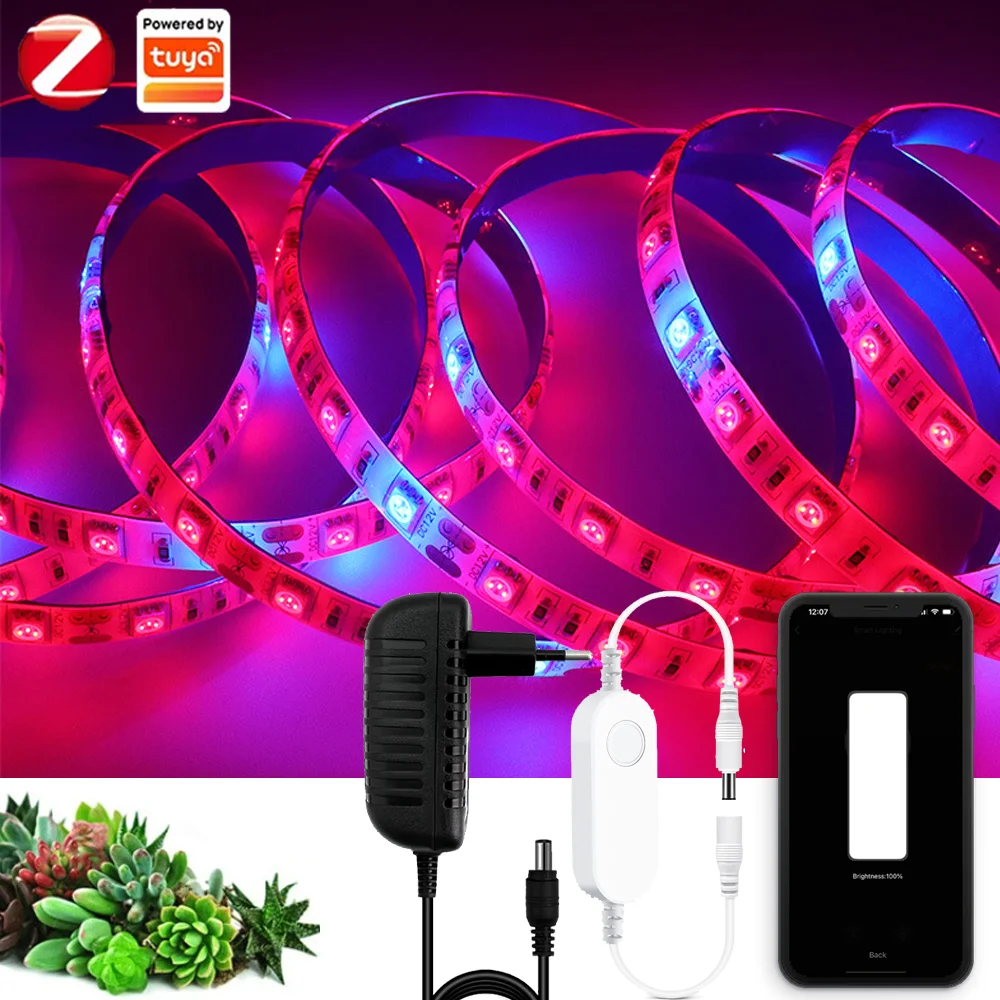Tuya ZIGBEE 3.0 Smart LED Full Spectrum LED Plant Growth Light 5M 300LEDs Strip Fitolampy Greenhouse Plant Seed Growth Light
Tuya ZIGBEE 3.0 Smart LED Full Spectrum LED Plant Growth Light 5M 300LEDs Strip Fitolampy Greenhouse Plant Seed Growth Light