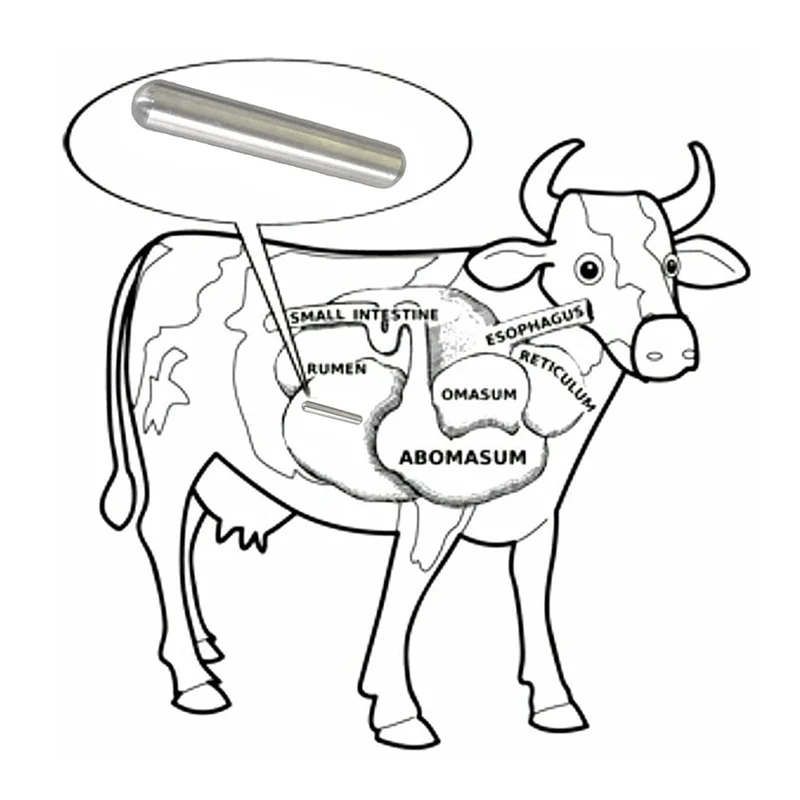 AS59 Alnico5 Magnets 4Pack-Cow Magnet 1/2" D X 3" L, Silver Heavy Duty Cylinder Magnet, Cow Magnetic Metal Picker
AS59 Alnico5 Magnets 4Pack-Cow Magnet 1/2" D X 3" L, Silver Heavy Duty Cylinder Magnet, Cow Magnetic Metal Picker
