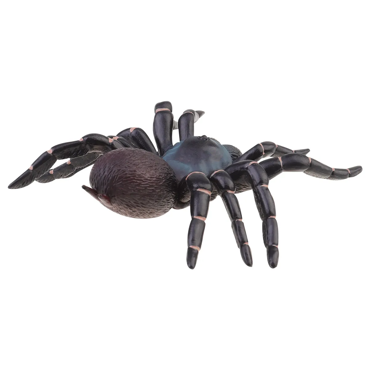Spider Halloween Decor Toys Spiders Decoration Decorations Fake Giant Realistic
Spider Halloween Decor Toys Spiders Decoration Decorations Fake Giant Realistic
