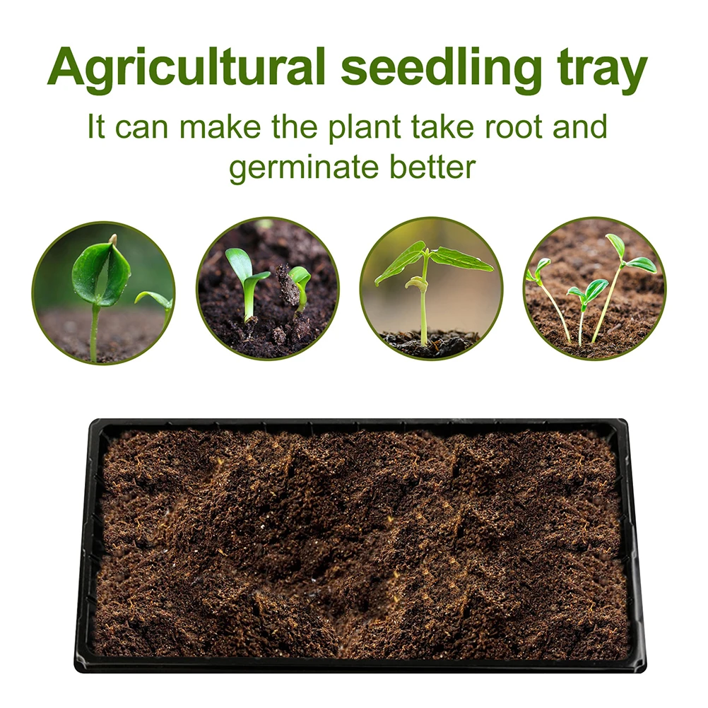 4 Pcs Seedling Tray Planting Containers for Indoor Plants Nursery Pot Hydroponics Biodegradable Flower Pots Gardening Supplies
4 Pcs Seedling Tray Planting Containers for Indoor Plants Nursery Pot Hydroponics Biodegradable Flower Pots Gardening Supplies