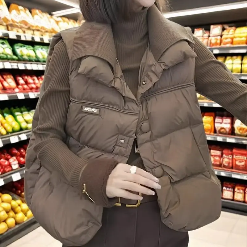 Женское пуховое хлопковое пальто больших размеров, жилет, кардиган, женский осенне-зимний новый жилет 202, куртка с подкладкой, верхняя одежда без рукавов
Женское пуховое хлопковое пальто больших размеров, жилет, кардиган, женский осенне-зимний новый жилет 202, куртка с подкладкой, верхняя одежда без рукавов