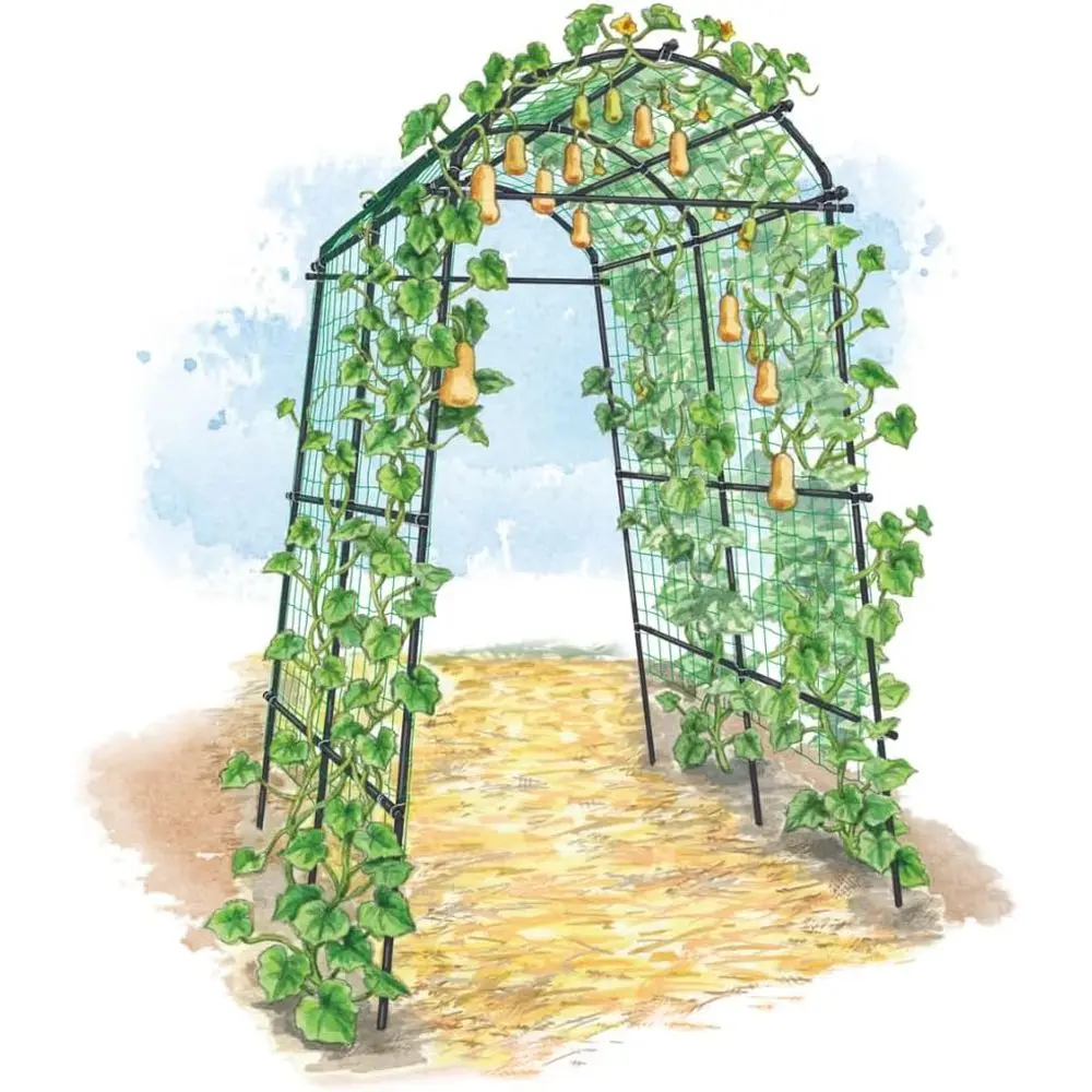 80-Inch Tall Metal Garden Arch Arbor | Lightweight Trellis for Climbing Plants | Outdoor Support Structure
80-Inch Tall Metal Garden Arch Arbor | Lightweight Trellis for Climbing Plants | Outdoor Support Structure