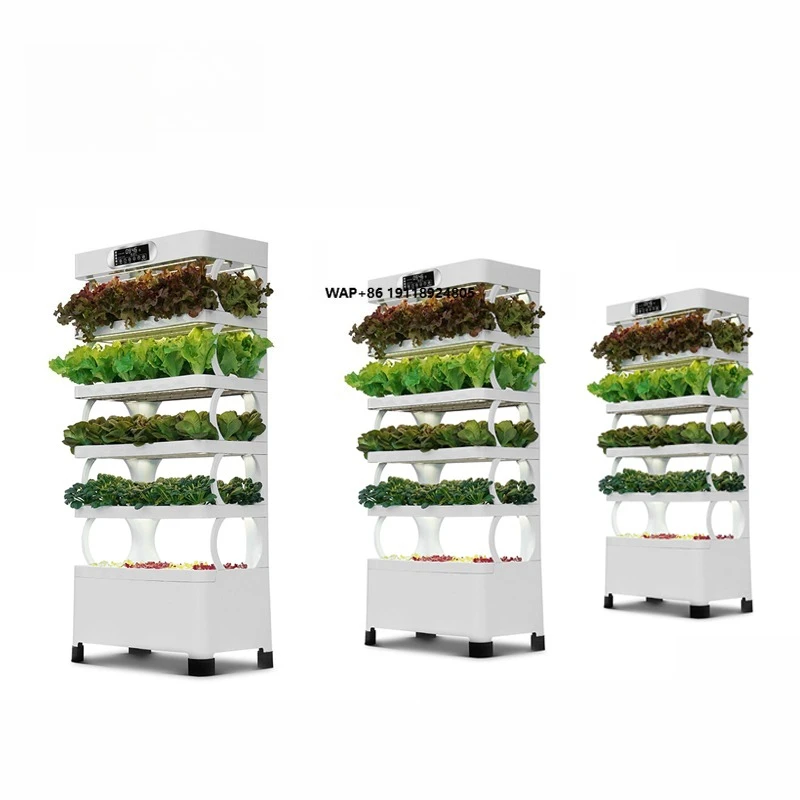 Intelligent Hydroponic Machine with Led Grow Lights Irrigation Hydroponic Equipment
Intelligent Hydroponic Machine with Led Grow Lights Irrigation Hydroponic Equipment