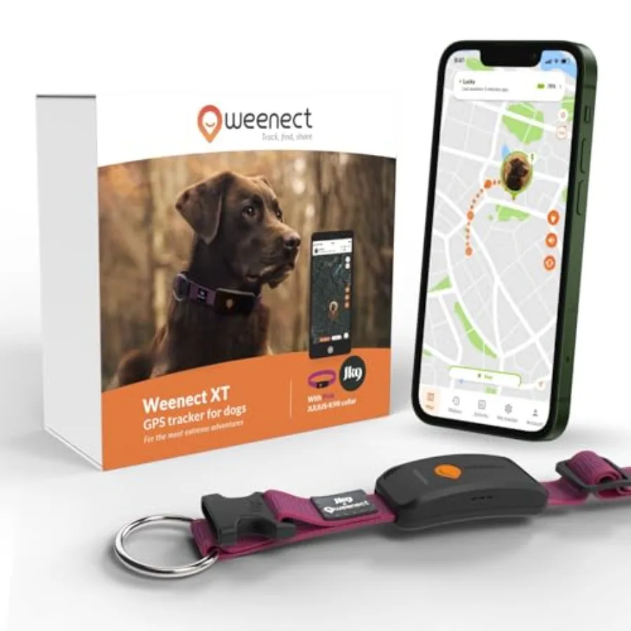 Dog XT Новый GPS-ошейник для собак XL Антенна Водонепроницаемый сверхпрочный встроенный ошейник Julius-K9 Требуется подписка
Dog XT Новый GPS-ошейник для собак XL Антенна Водонепроницаемый сверхпрочный встроенный ошейник Julius-K9 Требуется подписка