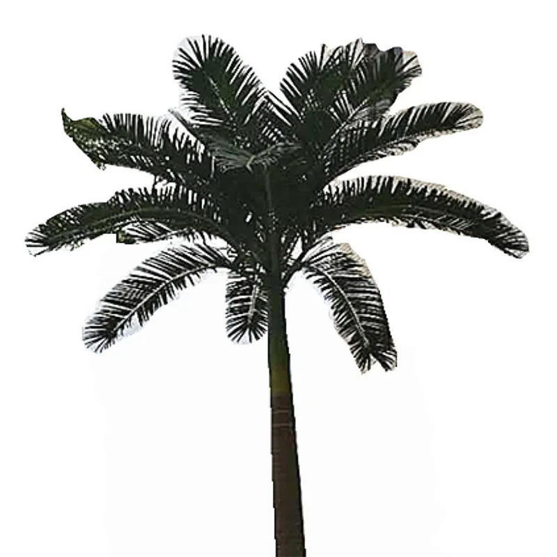 Simulation plant coconut tree king coconut living room hotel indoor and outdoor decoration coconut tree
Simulation plant coconut tree king coconut living room hotel indoor and outdoor decoration coconut tree