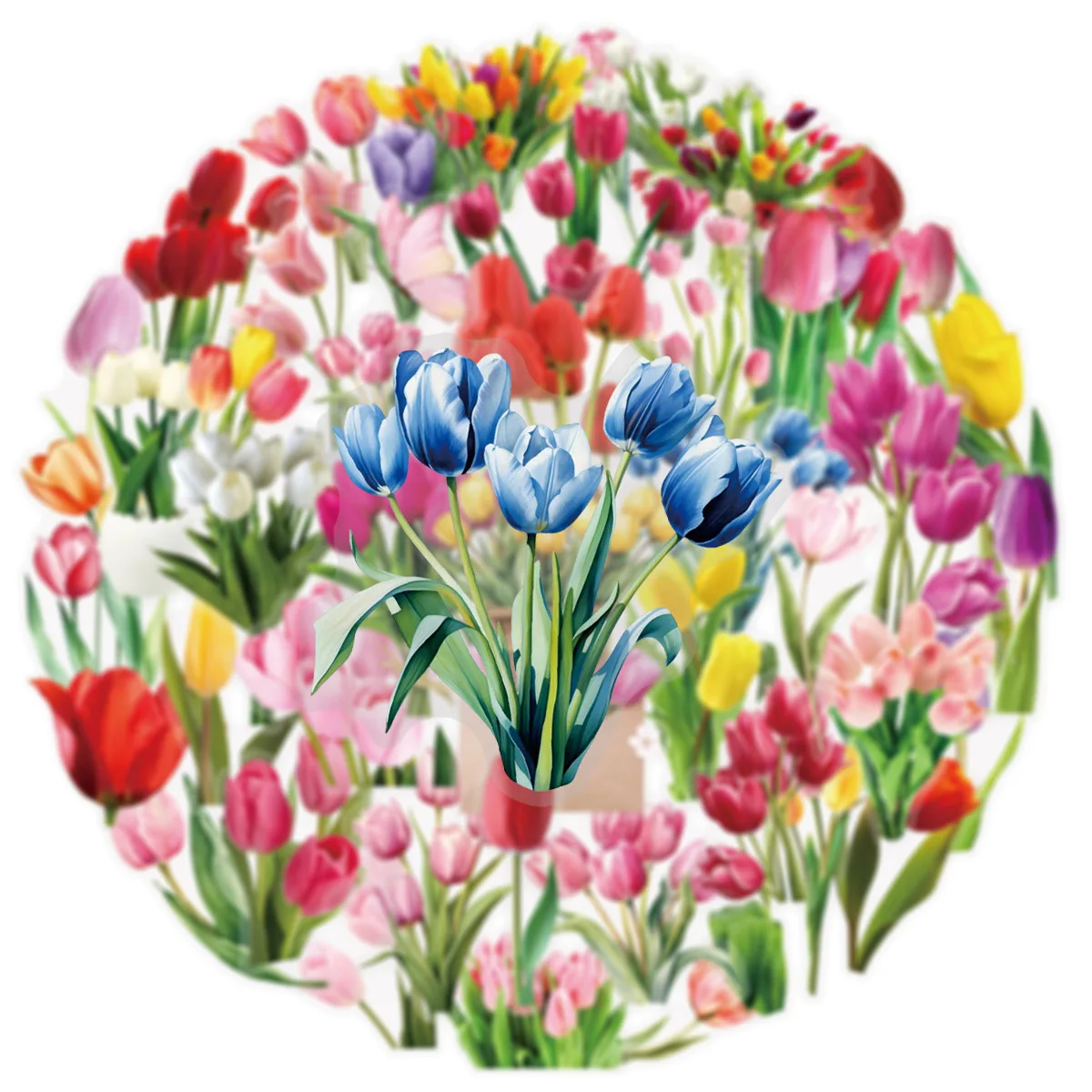 10/50PCS Flowers Cartoon Stickers Tulip Transparent Sticker Plant Graffiti DIY Toy Laptop Guitar Car Bike Skateboard Decoration
10/50PCS Flowers Cartoon Stickers Tulip Transparent Sticker Plant Graffiti DIY Toy Laptop Guitar Car Bike Skateboard Decoration