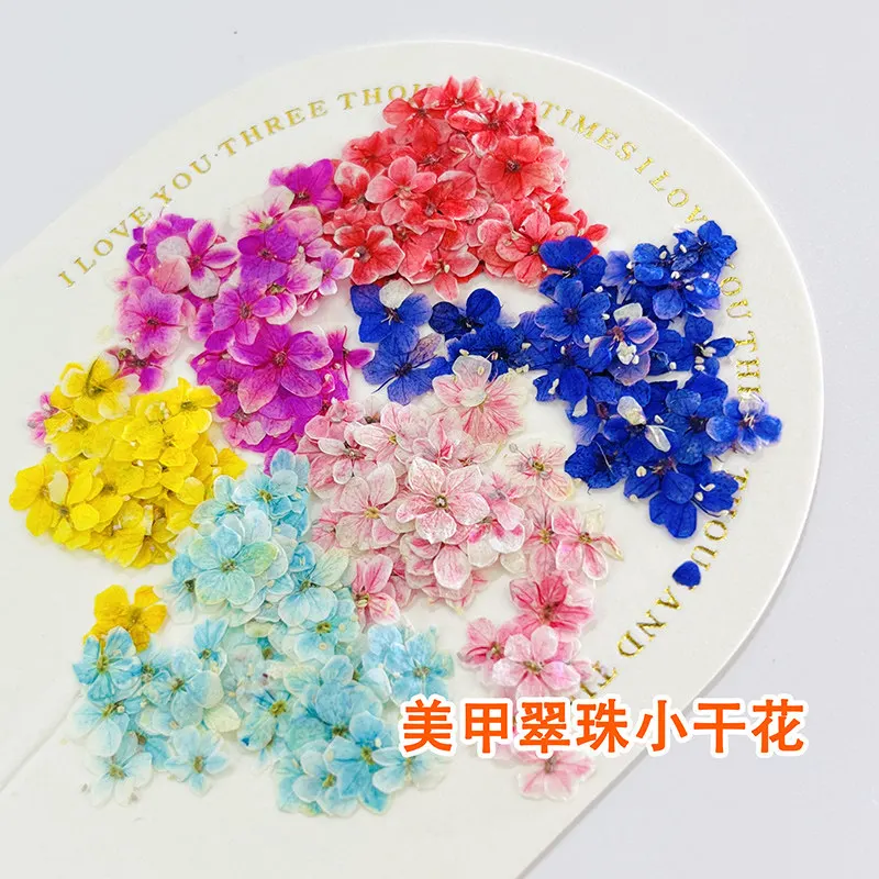 150 Mini Pressed Flower Nail Art Decorations, Real Flowers, Small Floral Fragments, Pressed Flower Nail Art Accessories, Japanese-Style Nail Stickers, Handmade DIY Candle Stickers, Colorful Box Set
150 Mini Pressed Flower Nail Art Decorations, Real Flowers, Small Floral Fragments, Pressed Flower Nail Art Accessories, Japanese-Style Nail Stickers, Handmade DIY Candle Stickers, Colorful Box Set