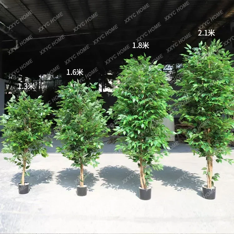 False Tree Large Simulated Banyan Tree Green Plant Landscaping Indoor Living Room Decoration Floor Landscape Landscaping
False Tree Large Simulated Banyan Tree Green Plant Landscaping Indoor Living Room Decoration Floor Landscape Landscaping