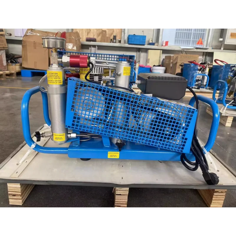 Diving Air Refilling Machine 100L Compact Portable Air Compressor & Pump with Air Purifier-Stock Direct Shipment
Diving Air Refilling Machine 100L Compact Portable Air Compressor & Pump with Air Purifier-Stock Direct Shipment