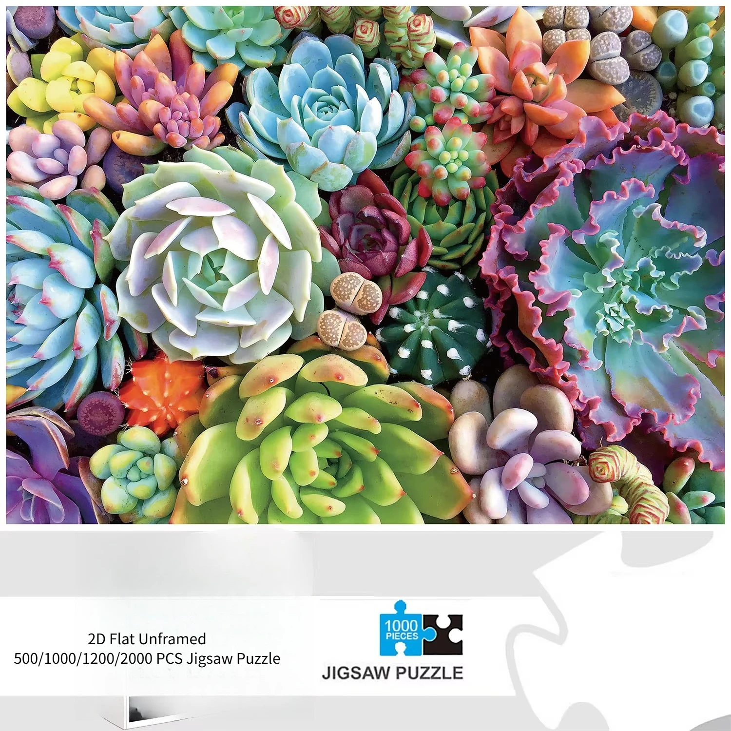 1000 Pieces Succulent Plants Jigsaw Puzzle Home Decor Adults Puzzle Games Family Fun Floor Puzzles Educational Toys for Kids
1000 Pieces Succulent Plants Jigsaw Puzzle Home Decor Adults Puzzle Games Family Fun Floor Puzzles Educational Toys for Kids