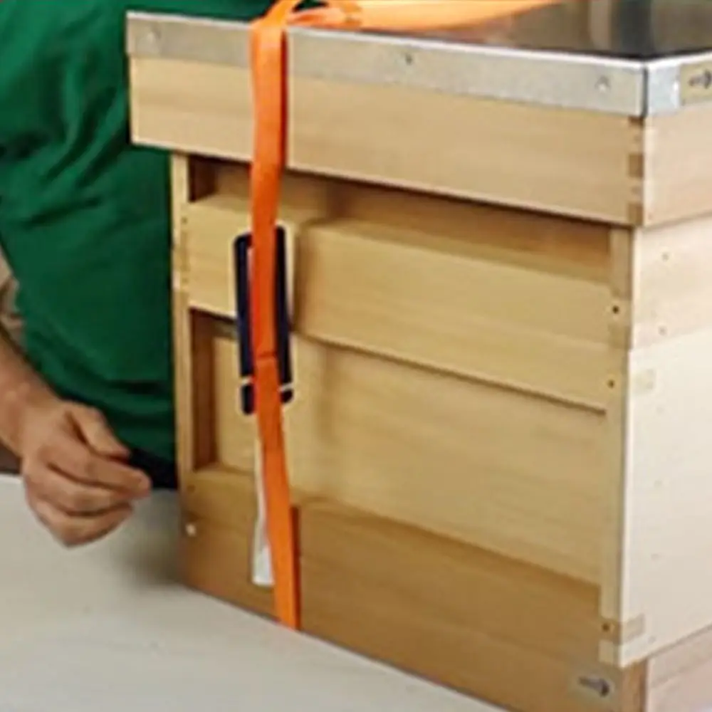 Портативный 5-метровый ремень для крепления улья, регулируемый с пряжкой, устройство для крепления улья, фиксированный ремень, инструмент для пчеловодства
Портативный 5-метровый ремень для крепления улья, регулируемый с пряжкой, устройство для крепления улья, фиксированный ремень, инструмент для пчеловодства