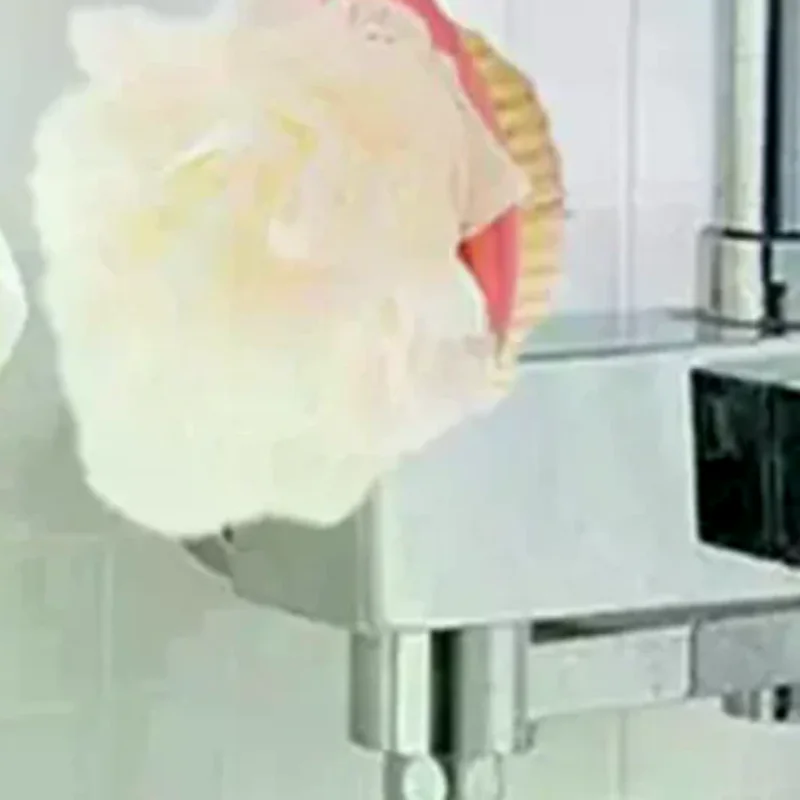 Soft Loofah And Bristles Bath Body Brush For Women And Men - Curved Long Handled Shower Brush For Body, Face, And Spa Washing
Soft Loofah And Bristles Bath Body Brush For Women And Men - Curved Long Handled Shower Brush For Body, Face, And Spa Washing