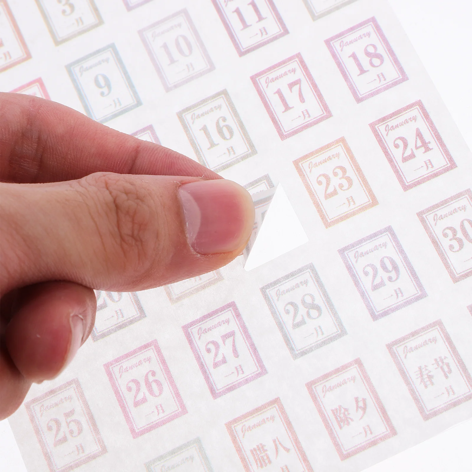 Daily Calendar Stickers Scrapbook Planner Labels Full Year Adhesive Number Decals Notebook Decor Sticker Set For Planning
Daily Calendar Stickers Scrapbook Planner Labels Full Year Adhesive Number Decals Notebook Decor Sticker Set For Planning