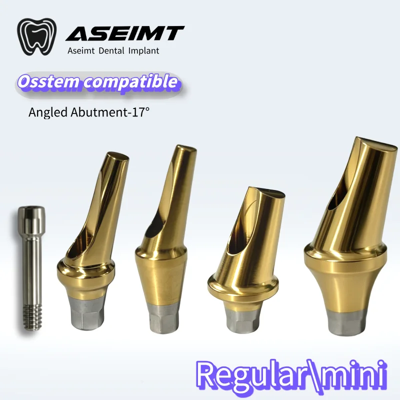 For Osstem Angled Abutment 17 Degree a Type B Type Titanium Abutment for Hiossen TS III Implant System Stock Ready Ship factory
For Osstem Angled Abutment 17 Degree a Type B Type Titanium Abutment for Hiossen TS III Implant System Stock Ready Ship factory