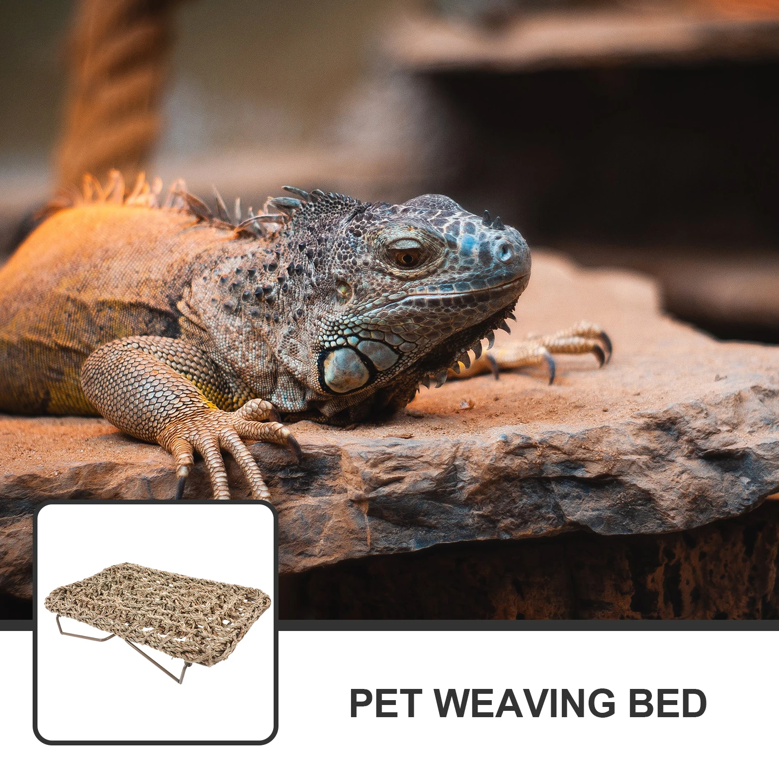 Durable Lizard Reptile Natural Environment Pet Resting Mat Iron Frame Hammock Bearded Dragon Gecko Snake Plaything Small Animal
Durable Lizard Reptile Natural Environment Pet Resting Mat Iron Frame Hammock Bearded Dragon Gecko Snake Plaything Small Animal