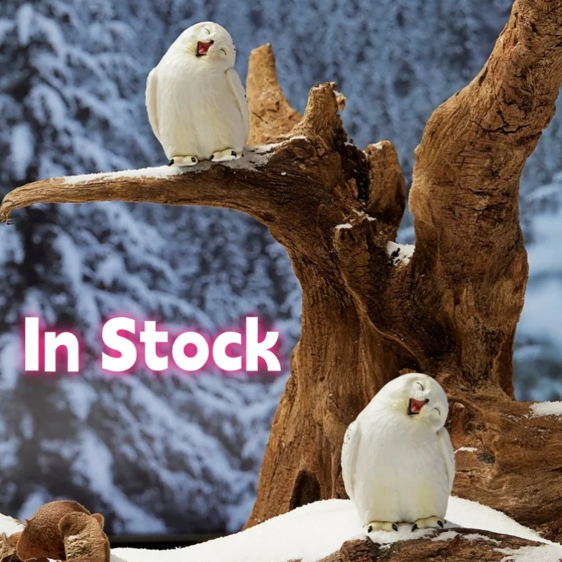 Миниатюрная фигурка, модель, орнамент, игрушка, наклонная голова, снежная сова, изделия из смолы, украшения для гостиной, украшение для дома, подарок
Миниатюрная фигурка, модель, орнамент, игрушка, наклонная голова, снежная сова, изделия из смолы, украшения для гостиной, украшение для дома, подарок