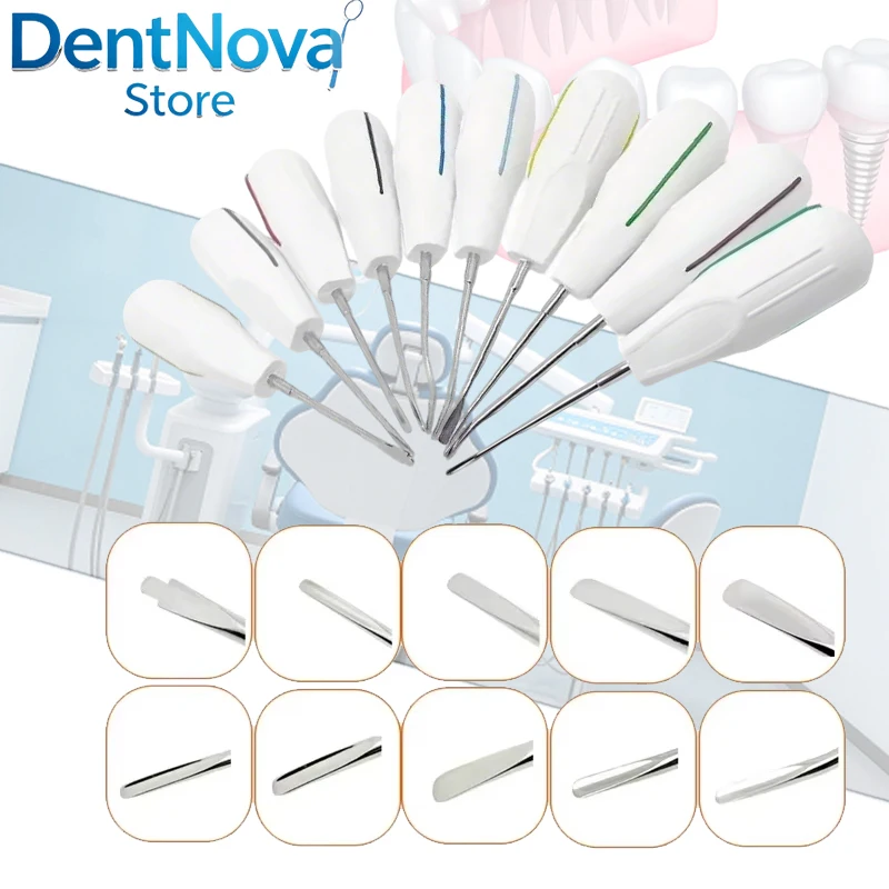 10pcs/set Dental Root Elevators Extraction Kit Luxating Elevator Angled Blade Plastic Handle for Vet Dentist Surgery Tools
10pcs/set Dental Root Elevators Extraction Kit Luxating Elevator Angled Blade Plastic Handle for Vet Dentist Surgery Tools