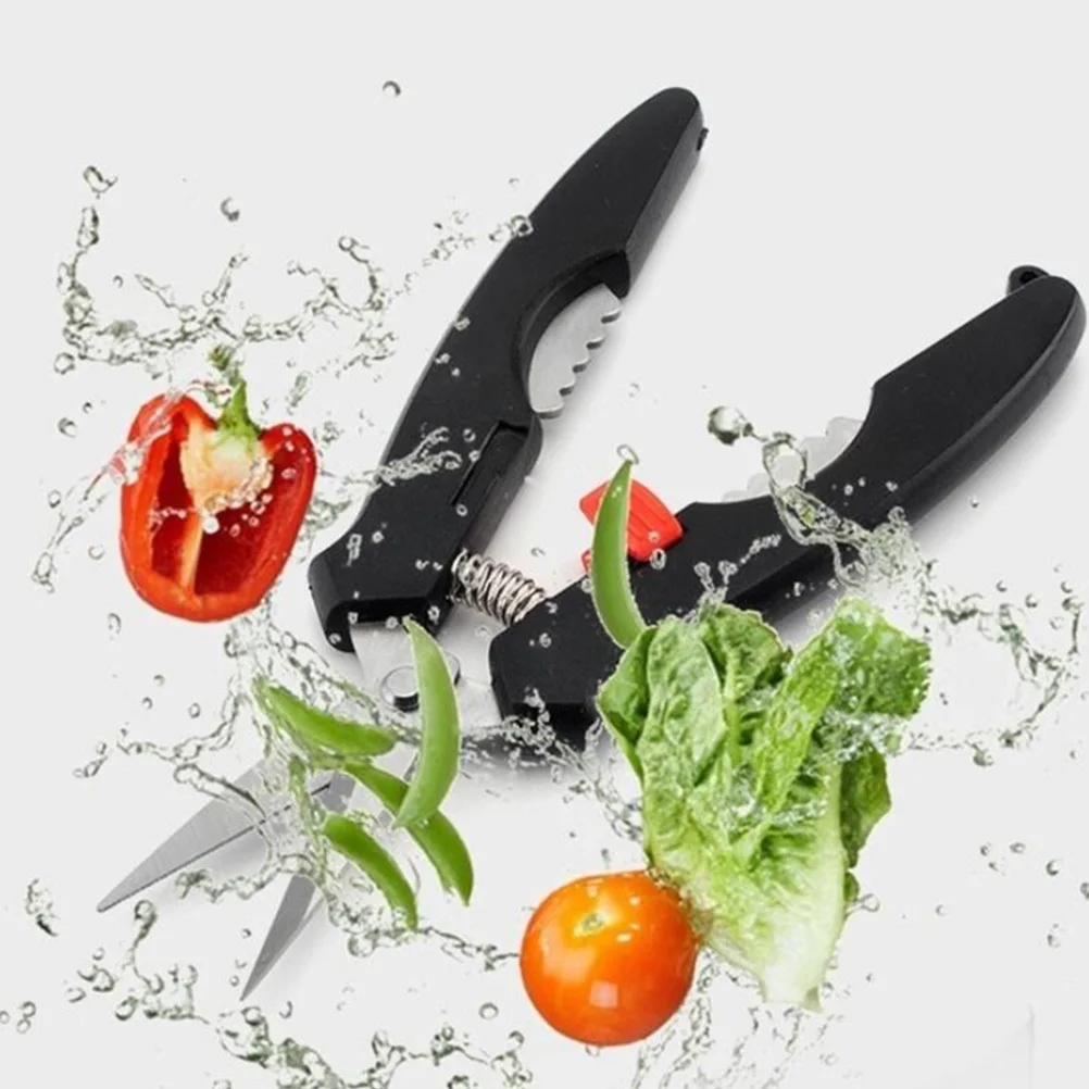 1 Set Stainless Steel Crab Fork Scissor Tool Kit For Seafood Eating, Crab Crackers Kitchen Supplies, Black Seafood Tools Set
1 Set Stainless Steel Crab Fork Scissor Tool Kit For Seafood Eating, Crab Crackers Kitchen Supplies, Black Seafood Tools Set