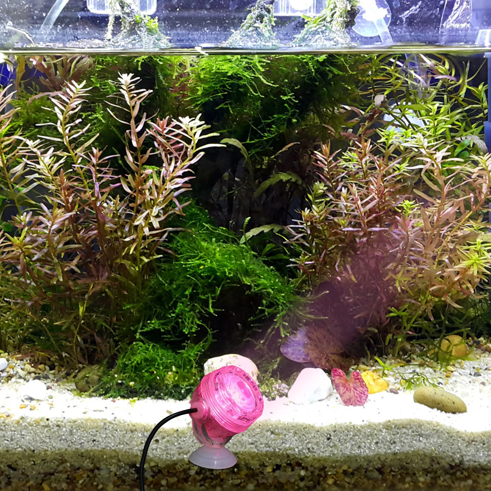 Changing LED Fish Tank Light Small LED Aquarium Spot Light Night Light Energy Saving Fish Lamp Fish Aquarium Lights 
Changing LED Fish Tank Light Small LED Aquarium Spot Light Night Light Energy Saving Fish Lamp Fish Aquarium Lights