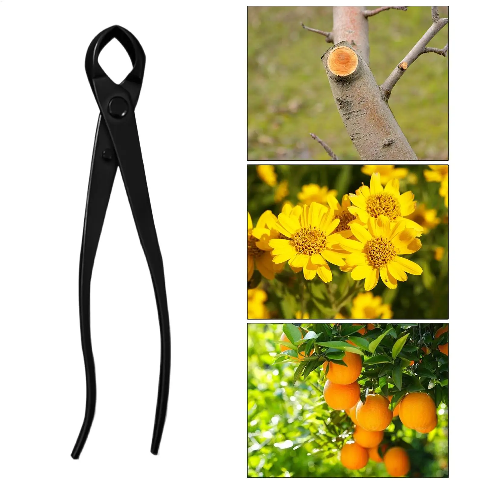 1Pcs Stainless Steel Gardening Ball Shears Ball Scissors Bonsai Tool Knob Ball Scissors Landscape Round Garden Scissors Tools
1Pcs Stainless Steel Gardening Ball Shears Ball Scissors Bonsai Tool Knob Ball Scissors Landscape Round Garden Scissors Tools