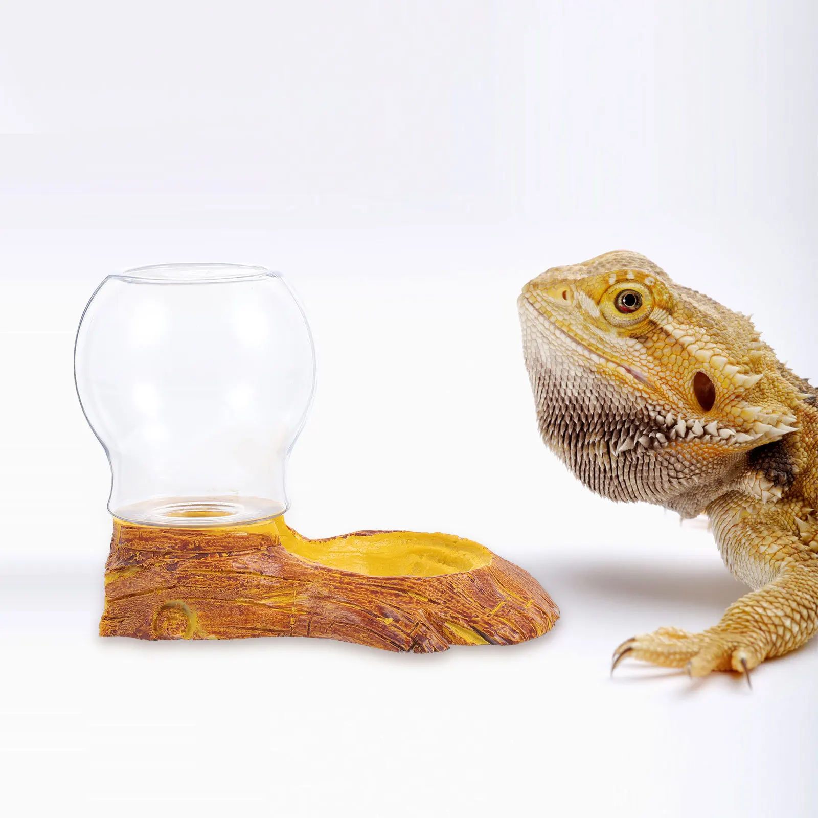 1Set Reptile Water Feeder Durable Household Water Basin Reptile Drinking Tool Suitable for Lizards Geckos Turtles
1Set Reptile Water Feeder Durable Household Water Basin Reptile Drinking Tool Suitable for Lizards Geckos Turtles