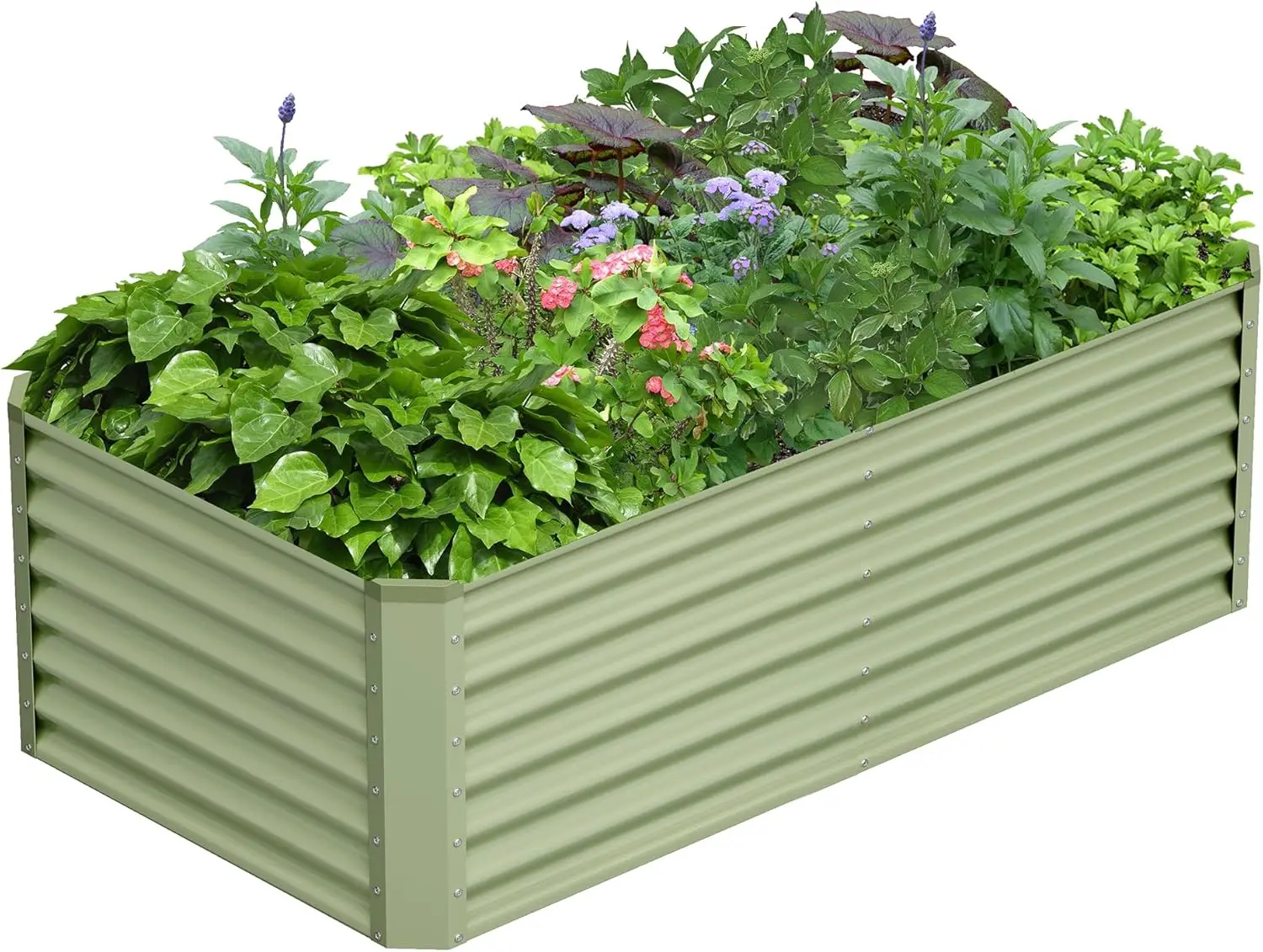 6x3x2FT Galvanized Raised Garden Bed, Large Metal Planter Box for Outdoor Vegetables - Green
6x3x2FT Galvanized Raised Garden Bed, Large Metal Planter Box for Outdoor Vegetables - Green