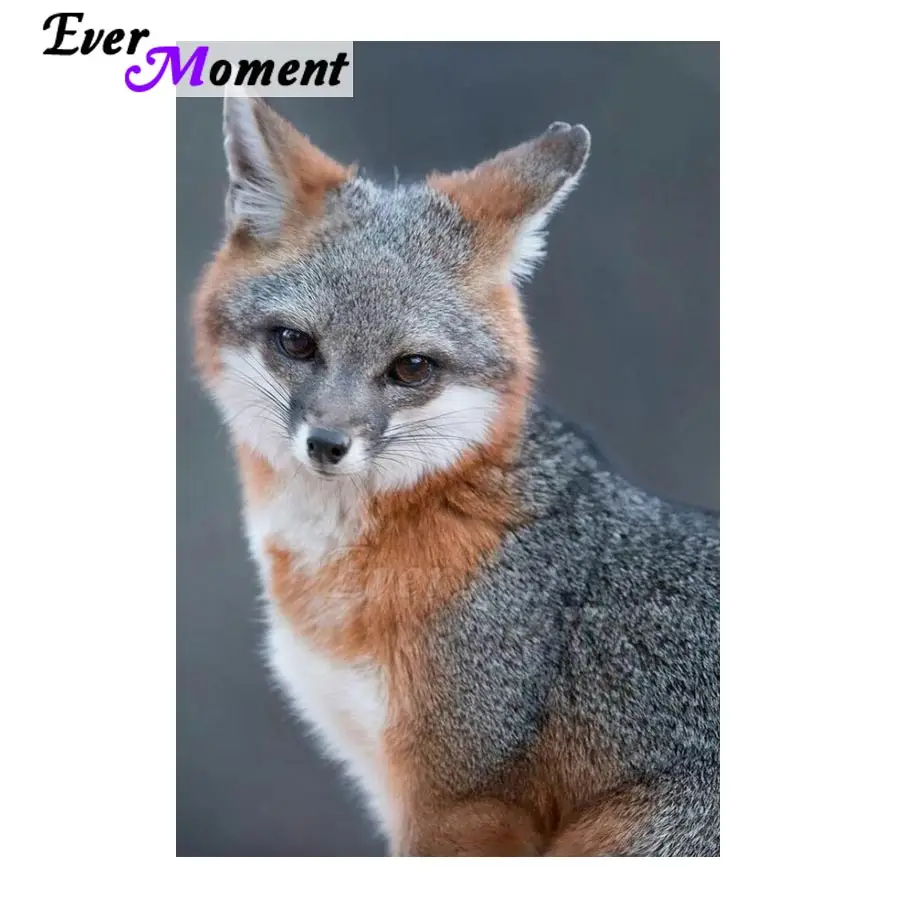 Алмазная картина Ever Moment Fox, полная квадратная круглая дрель, мозаика со стразами, 5D DIY Алмазная вышивка, домашний декор ASF1406
Алмазная картина Ever Moment Fox, полная квадратная круглая дрель, мозаика со стразами, 5D DIY Алмазная вышивка, домашний декор ASF1406