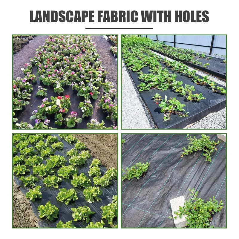 ABSF Weed Barrier Landscape Fabric With 3 Inch Planting Holes,Weed Barrier Fabric 3.3 Ft X 11.8 Ft Weed Block Gardening Mat
ABSF Weed Barrier Landscape Fabric With 3 Inch Planting Holes,Weed Barrier Fabric 3.3 Ft X 11.8 Ft Weed Block Gardening Mat