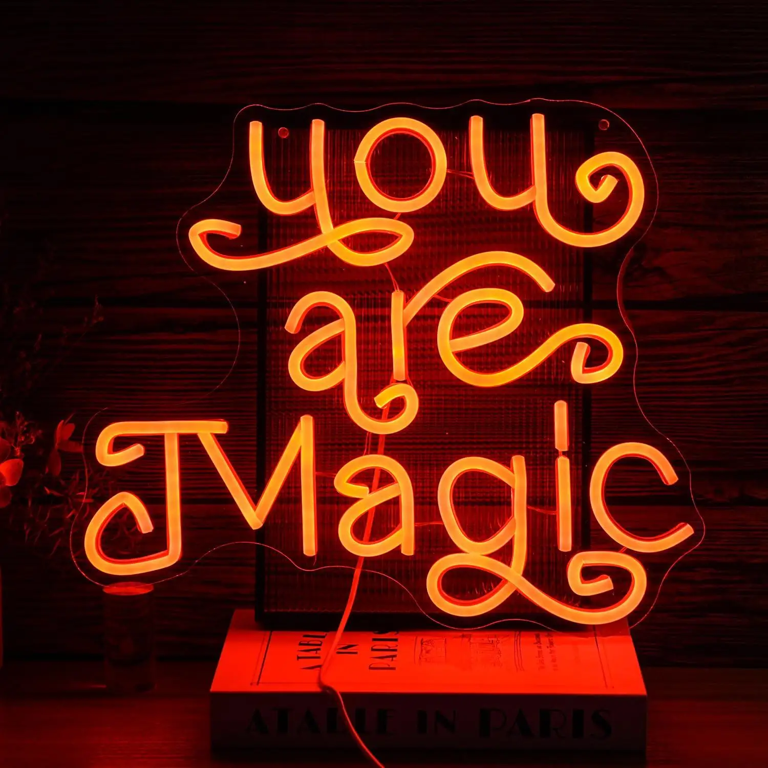 You Are Magic Neon Sign USB Dimmable LED Neon Lights for Bedroom Bar Classroom Office Gaming Room Decoration Wall Lights
You Are Magic Neon Sign USB Dimmable LED Neon Lights for Bedroom Bar Classroom Office Gaming Room Decoration Wall Lights