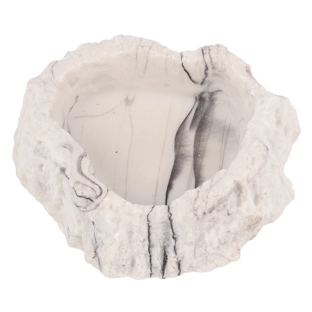 1Pcs Creative Pet Bowl Skipproof Texture Comfortable Digestive Feeding Plate for Small Reptiles Vivarium Food Water Dish 
1Pcs Creative Pet Bowl Skipproof Texture Comfortable Digestive Feeding Plate for Small Reptiles Vivarium Food Water Dish