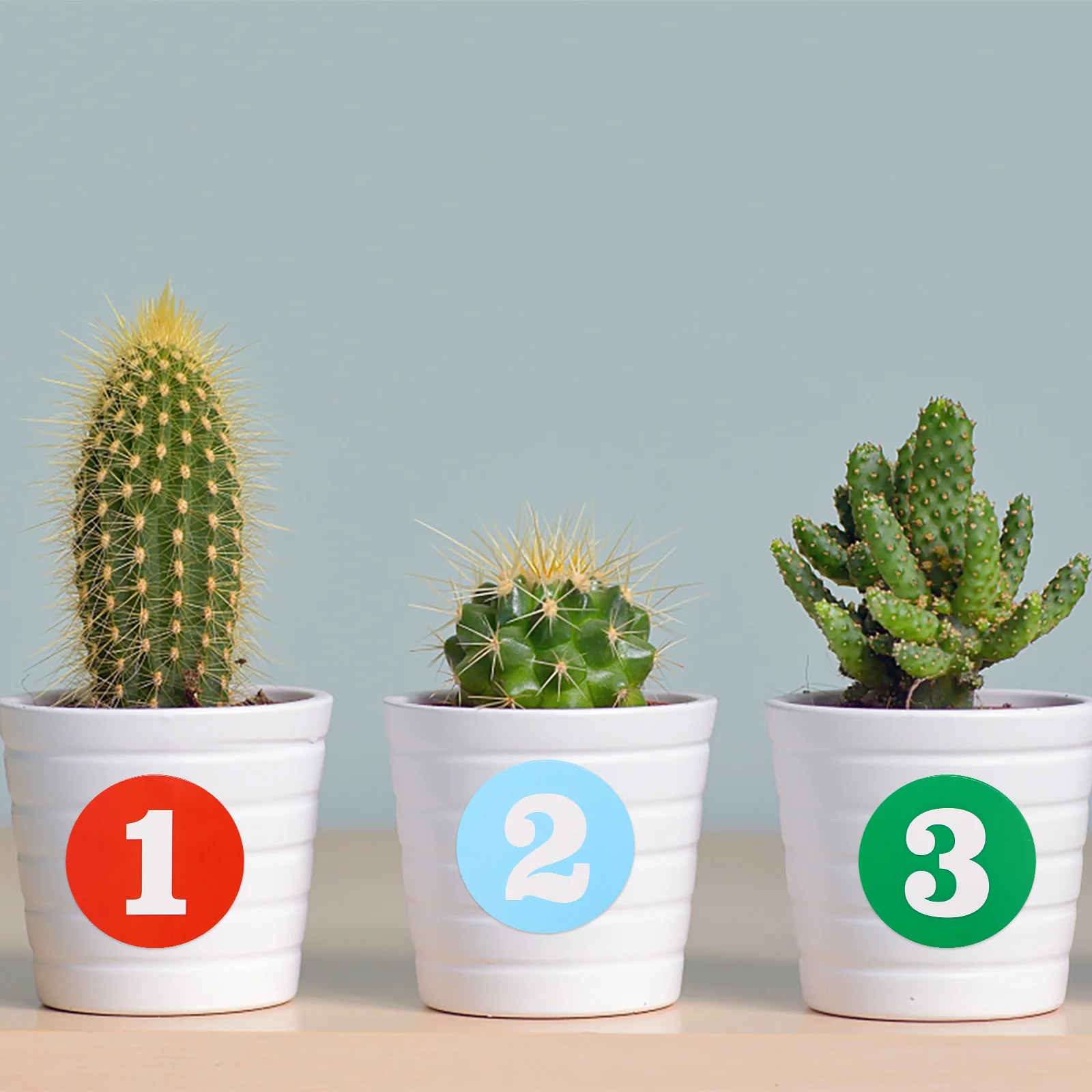 2 Sheets Colorful Round Waterproof Number Stickers Self-Adhesive Removable for Home Envelope Gift Wrapping DIY Crafts Decoration 
2 Sheets Colorful Round Waterproof Number Stickers Self-Adhesive Removable for Home Envelope Gift Wrapping DIY Crafts Decoration