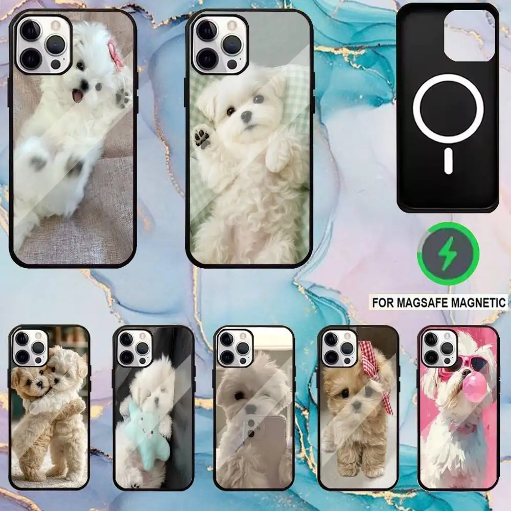 Cute Animal Maltese Dog Phone Case For iPhone17,16,15,14,13,12,11 Plus,Pro Max Magnetic Magsafe Wireless Charging
Cute Animal Maltese Dog Phone Case For iPhone17,16,15,14,13,12,11 Plus,Pro Max Magnetic Magsafe Wireless Charging