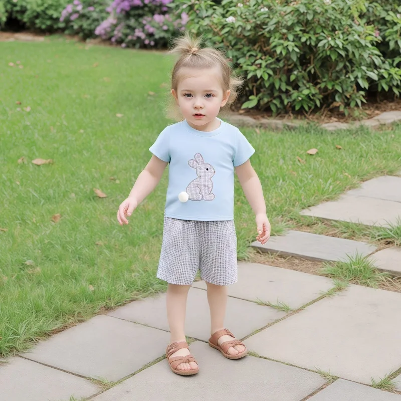 Toddler Boy Girl Easter Outfit Rabbit Embroidery Short Sleeve T-shirt Elasitc Waist Plaid Shorts Spring Summer Casual 2Pcs Set
Toddler Boy Girl Easter Outfit Rabbit Embroidery Short Sleeve T-shirt Elasitc Waist Plaid Shorts Spring Summer Casual 2Pcs Set