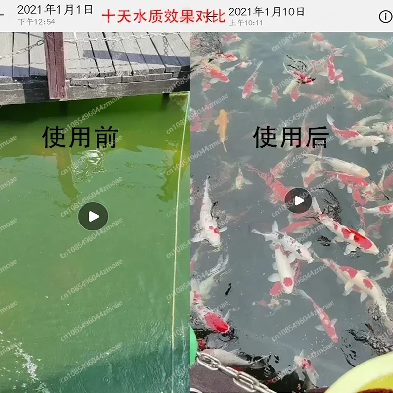 Drum Microfilter, Fish Pond Automatic Backwash Cycle Fish Stool Separation Filter, Aquaculture Microfilter
Drum Microfilter, Fish Pond Automatic Backwash Cycle Fish Stool Separation Filter, Aquaculture Microfilter