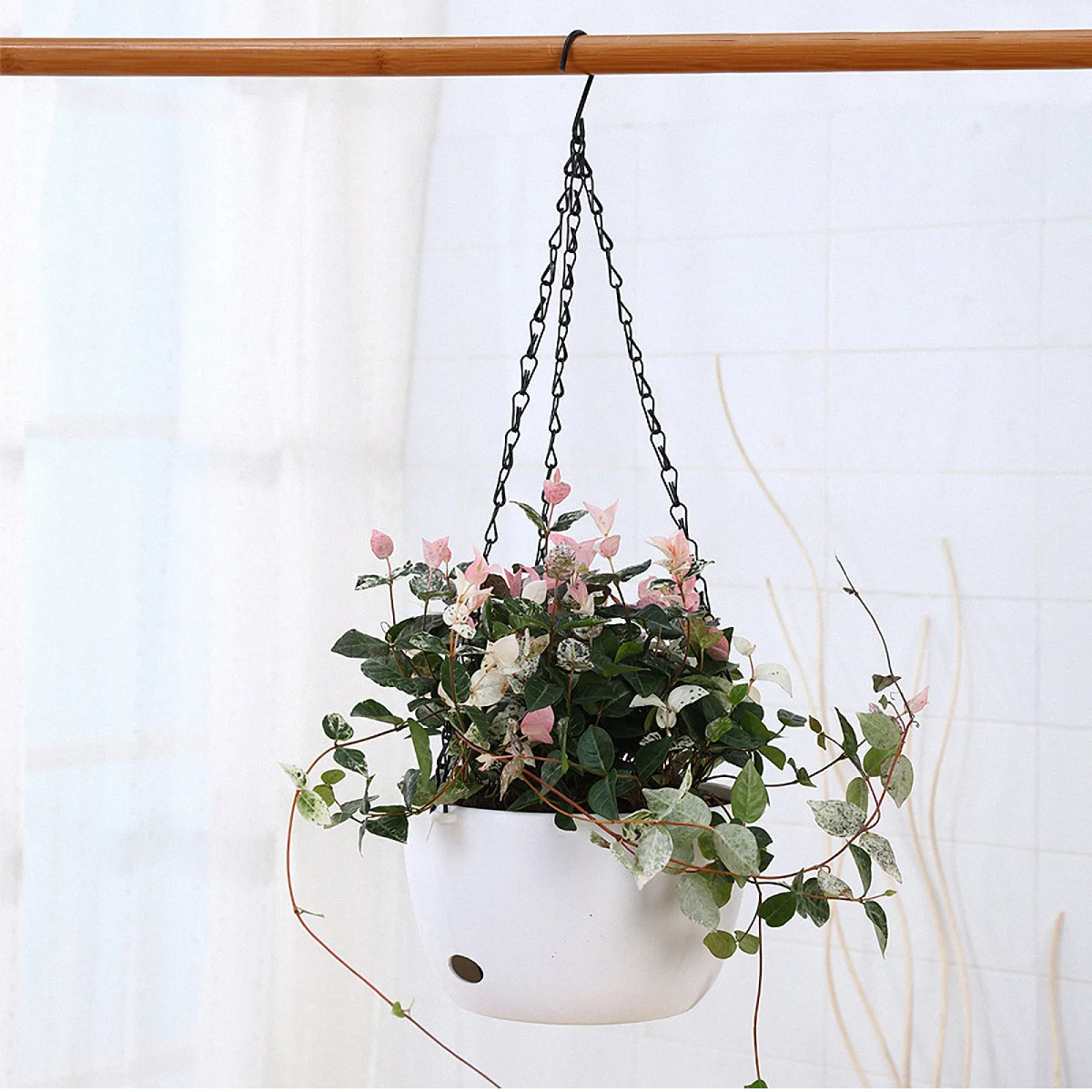 Hanging Flower Pot Removable Chain For Garden Window Sill Outdoor Plant Holder Display Potted Basket European Style Home Decor
Hanging Flower Pot Removable Chain For Garden Window Sill Outdoor Plant Holder Display Potted Basket European Style Home Decor