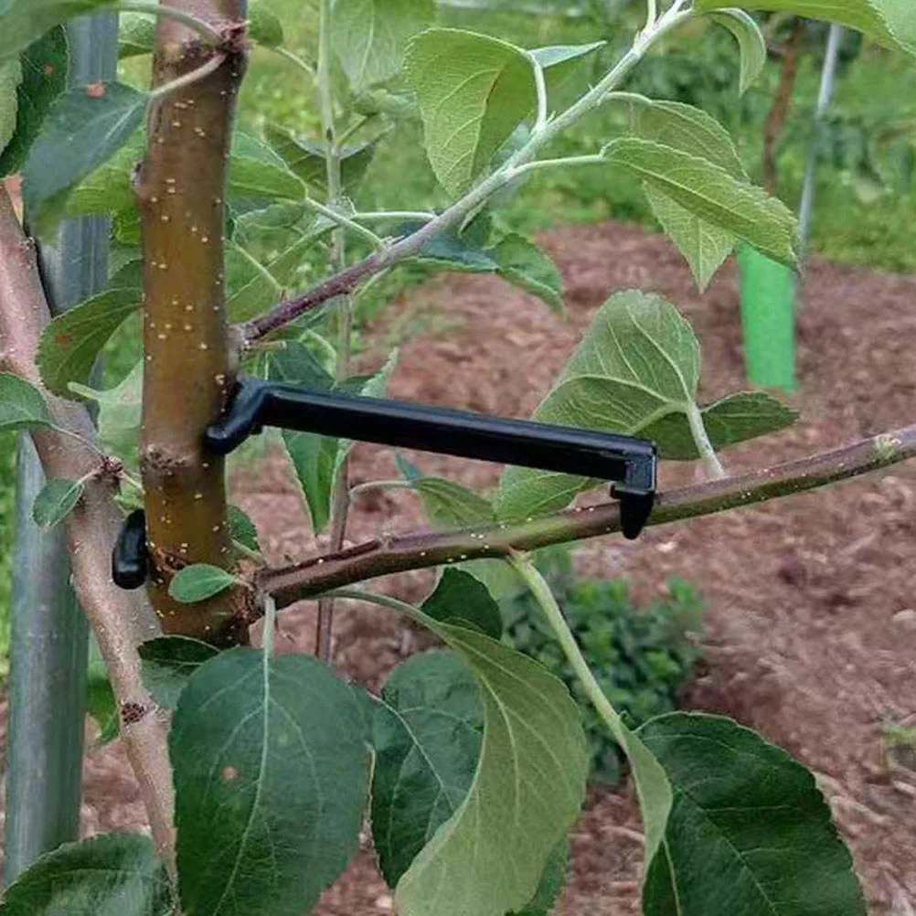 25 Pcs Branch Supporter Plant Spreader Branches Clips Fixing Tools Fruit Tree Bender Trunk Moderator
25 Pcs Branch Supporter Plant Spreader Branches Clips Fixing Tools Fruit Tree Bender Trunk Moderator