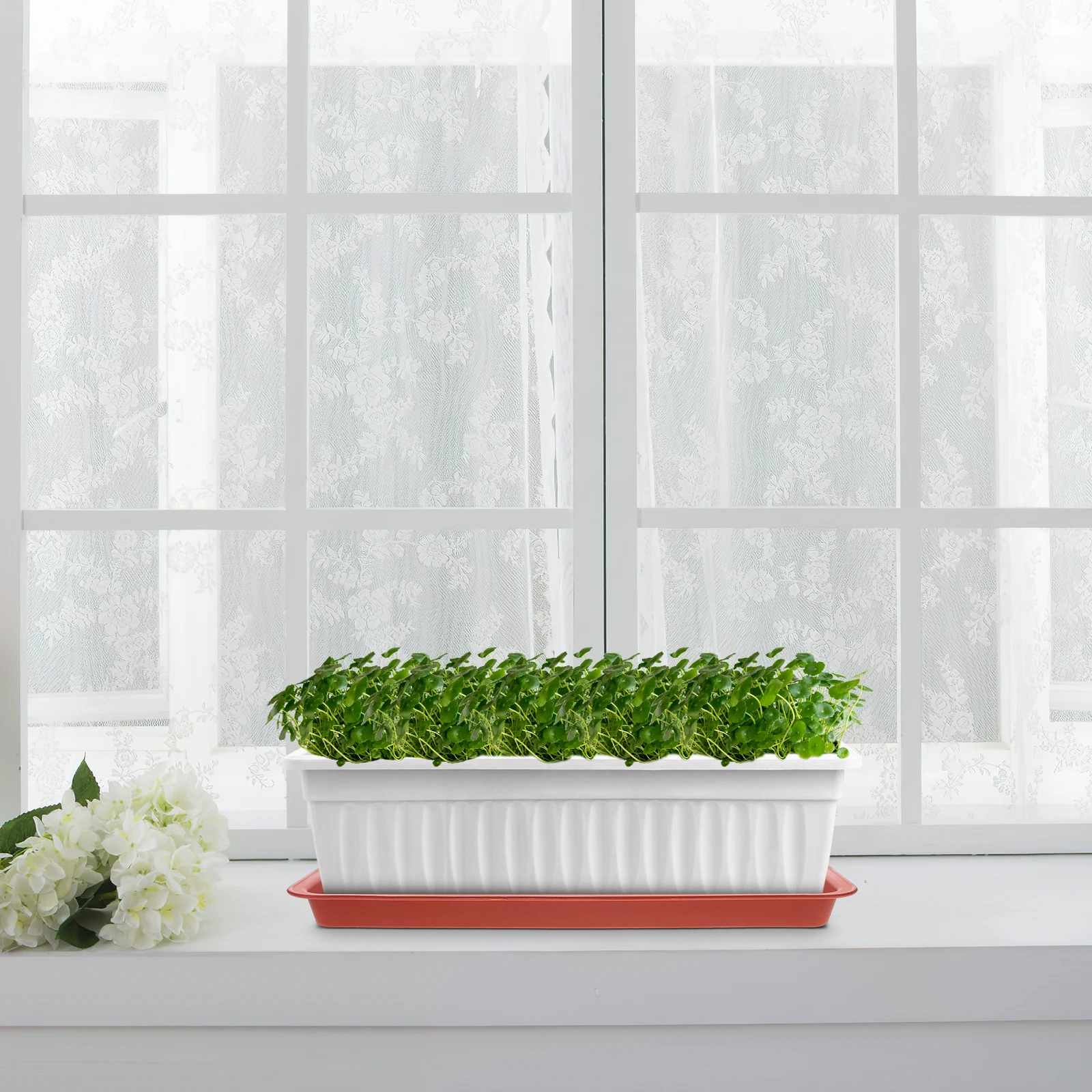 8pcs Flower Pot Saucers Rectangular Plastic Plant Trays Waterproof Durable for Indoor Plants Planter Container Tray Bonsai
8pcs Flower Pot Saucers Rectangular Plastic Plant Trays Waterproof Durable for Indoor Plants Planter Container Tray Bonsai