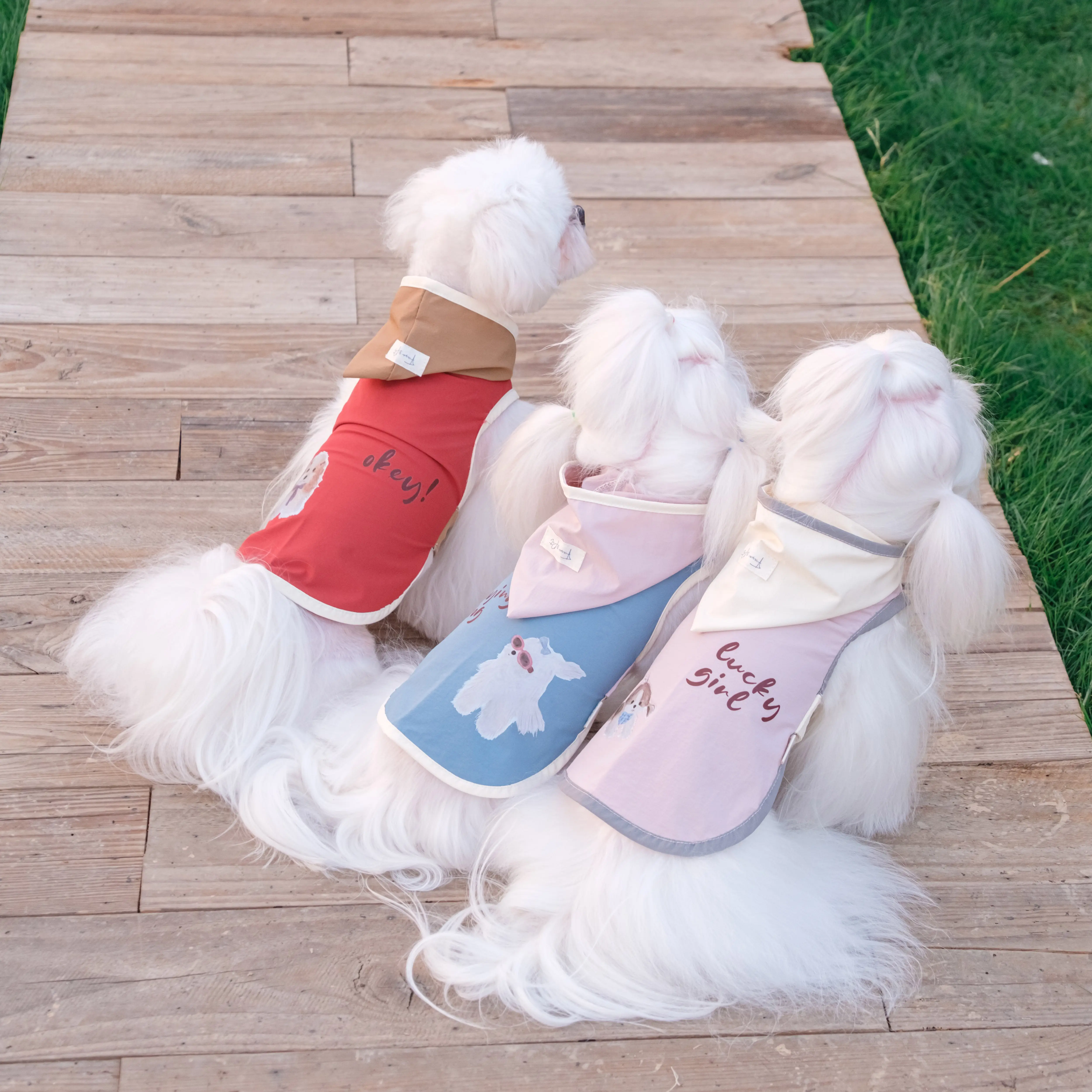 Summer Puppy Dog Coat Outfits Fashion Red Blue Pink Print Outerdoor Sport Coats for Small Medium Dog Poodle Casual Pet Clothes
Summer Puppy Dog Coat Outfits Fashion Red Blue Pink Print Outerdoor Sport Coats for Small Medium Dog Poodle Casual Pet Clothes
