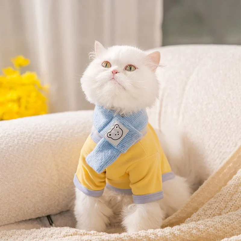 Solid Color Dog Vest Winter Warm Bottom Shirt Pet Two Leg Clothes Puppy Soft Pullover Teddy With Scarf Dog Products
Solid Color Dog Vest Winter Warm Bottom Shirt Pet Two Leg Clothes Puppy Soft Pullover Teddy With Scarf Dog Products