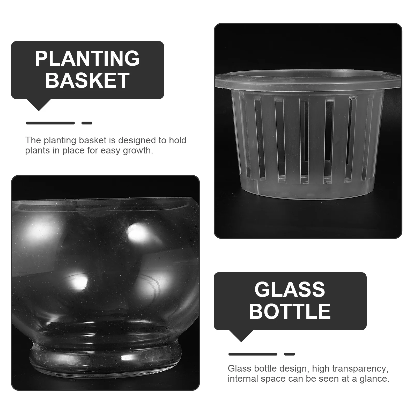 2Pcs Hydroponics Glass Vase Transparent Creative Plant Holder Decorative Flower Vase Desktop Ornament for Home Office Hotel 15cm
2Pcs Hydroponics Glass Vase Transparent Creative Plant Holder Decorative Flower Vase Desktop Ornament for Home Office Hotel 15cm