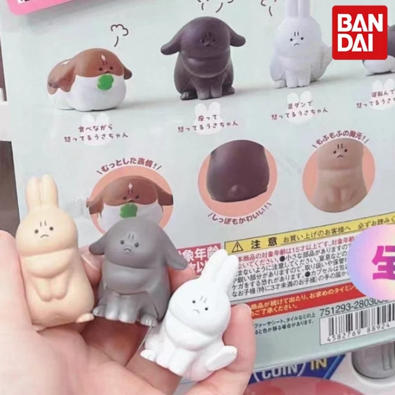Bandai Gashapon Grumpy Rabbit Mini Figures Cute Angry Bunny Collectible Figurines Desktop Decor Ornaments For Anime Lovers
Bandai Gashapon Grumpy Rabbit Mini Figures Cute Angry Bunny Collectible Figurines Desktop Decor Ornaments For Anime Lovers