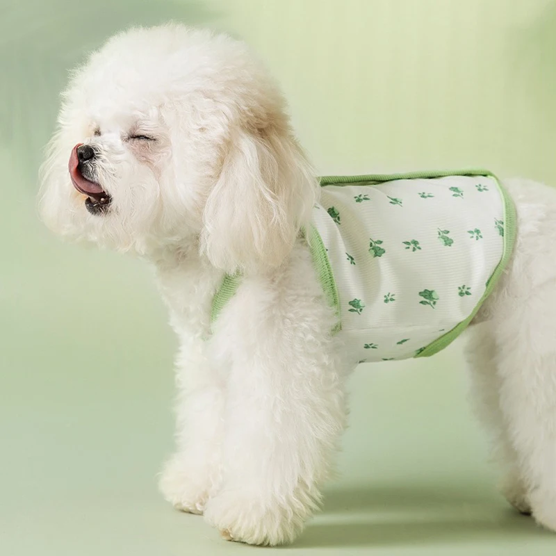 Small and Medium-sized Dogs Green Floral Suspenders New Dog Vest Thin Breathable Pet Open Button Shirt Teddy Beautiful Clothes
Small and Medium-sized Dogs Green Floral Suspenders New Dog Vest Thin Breathable Pet Open Button Shirt Teddy Beautiful Clothes