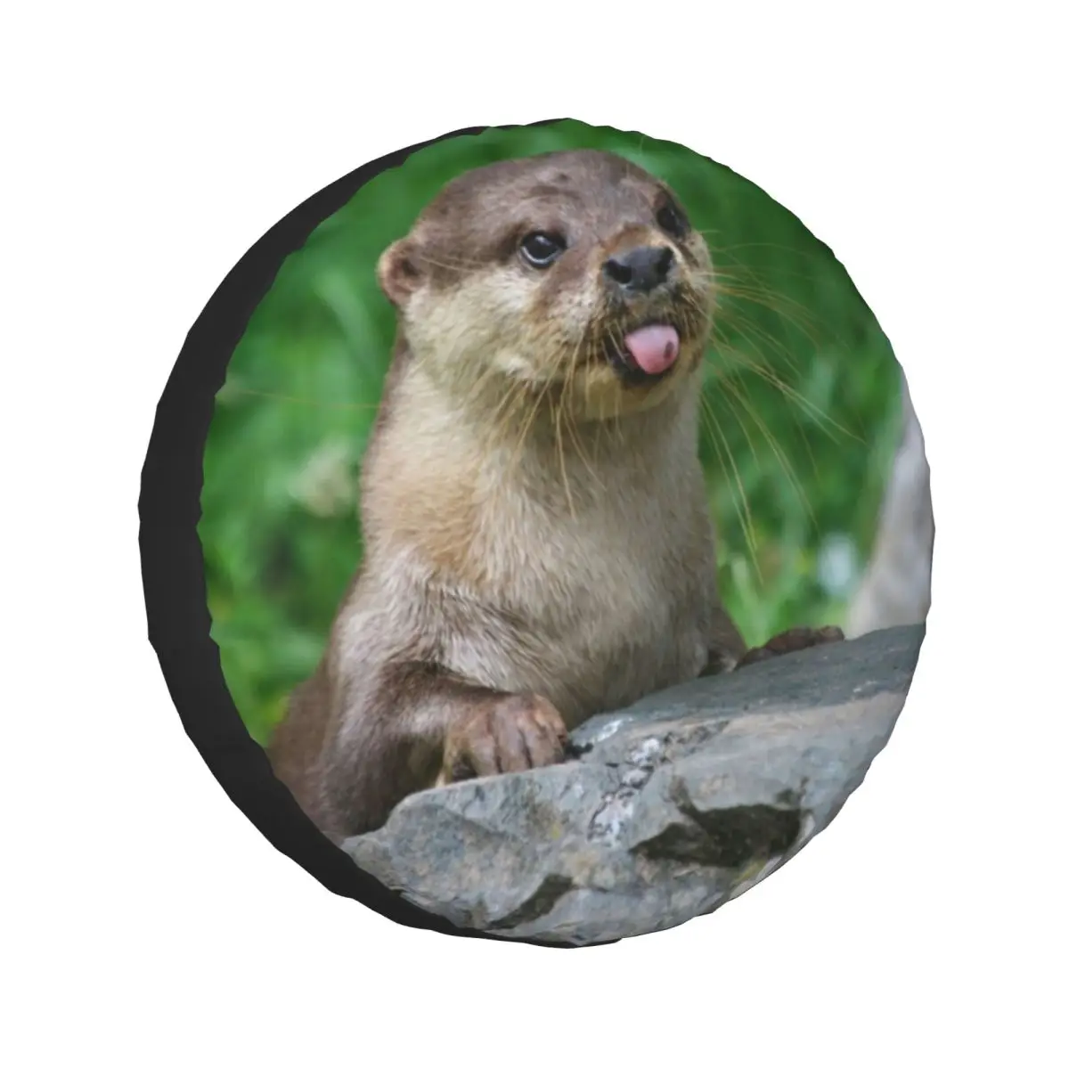 Изготовленный на заказ чехол для запасного колеса Cheeky Otter для автомобильных Pajero 4x4, защитные чехлы для колес 14 дюймов, 15 дюймов, 16 дюймов, 17 дюймов
Изготовленный на заказ чехол для запасного колеса Cheeky Otter для автомобильных Pajero 4x4, защитные чехлы для колес 14 дюймов, 15 дюймов, 16 дюймов, 17 дюймов