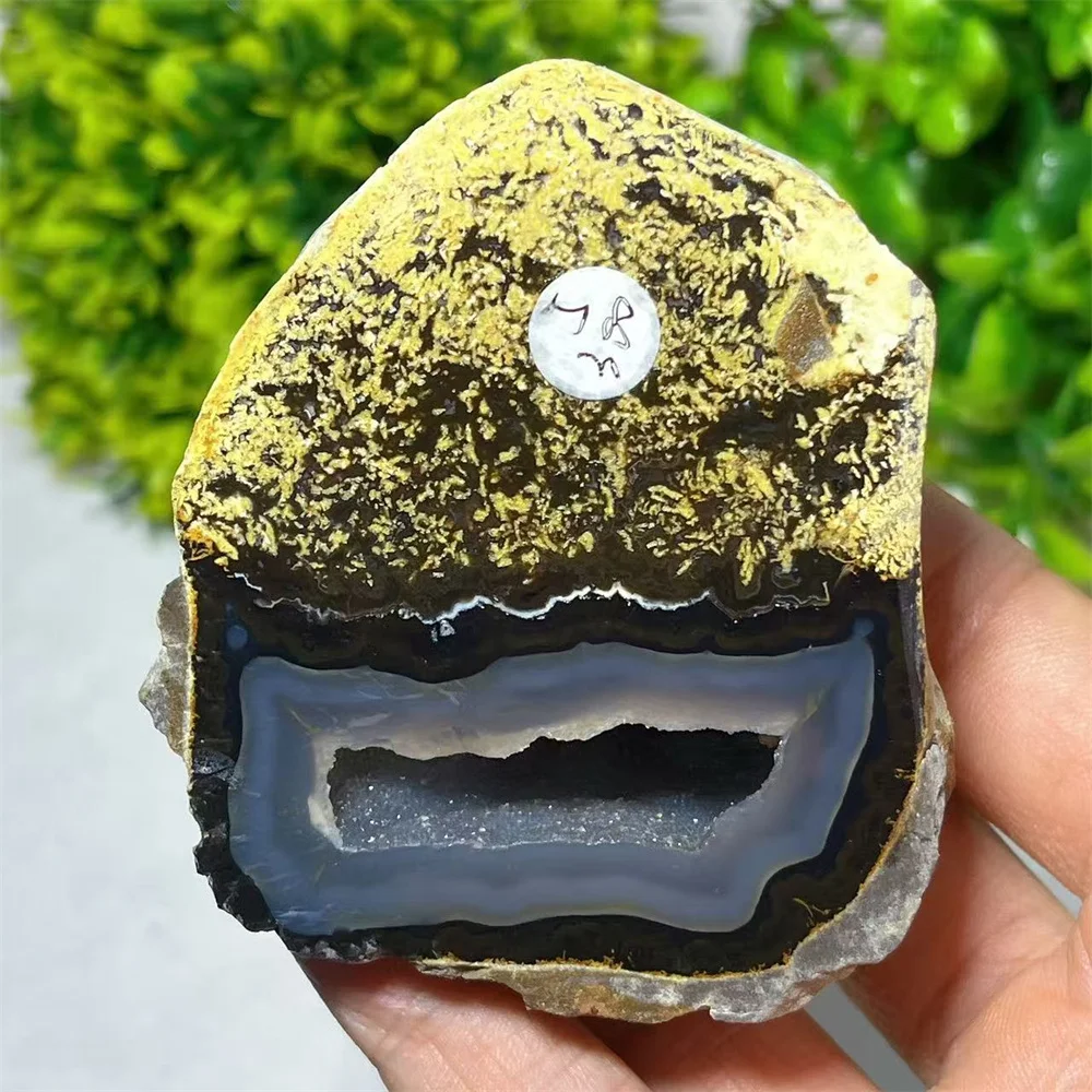 Blue Agate Palm Stone Quartz Crystal Natural Reiki Agate Polishing Healing Spiritual Minerali Home Decoration Energy
Blue Agate Palm Stone Quartz Crystal Natural Reiki Agate Polishing Healing Spiritual Minerali Home Decoration Energy