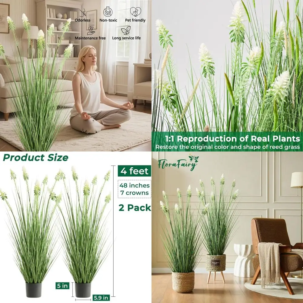 Тростниковая трава высотой 4 фута, состоящая из 2 частей, с белыми цветами петуха, искусственные растения в помещении и на открытом воздухе в горшках для дома и офиса D
Тростниковая трава высотой 4 фута, состоящая из 2 частей, с белыми цветами петуха, искусственные растения в помещении и на открытом воздухе в горшках для дома и офиса D