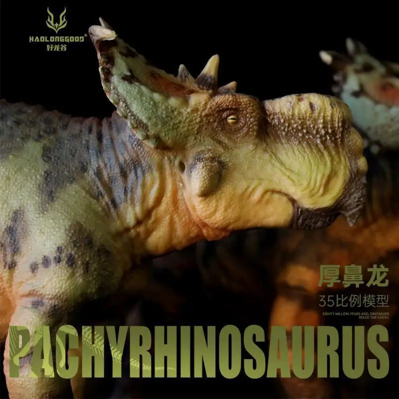 Original 1/35 Grtoys X Haolonggood Pachyrhinosaurus Model Dinosaur Animal Figures Pvc Statue Dolls Collections Decorations Toys
Original 1/35 Grtoys X Haolonggood Pachyrhinosaurus Model Dinosaur Animal Figures Pvc Statue Dolls Collections Decorations Toys