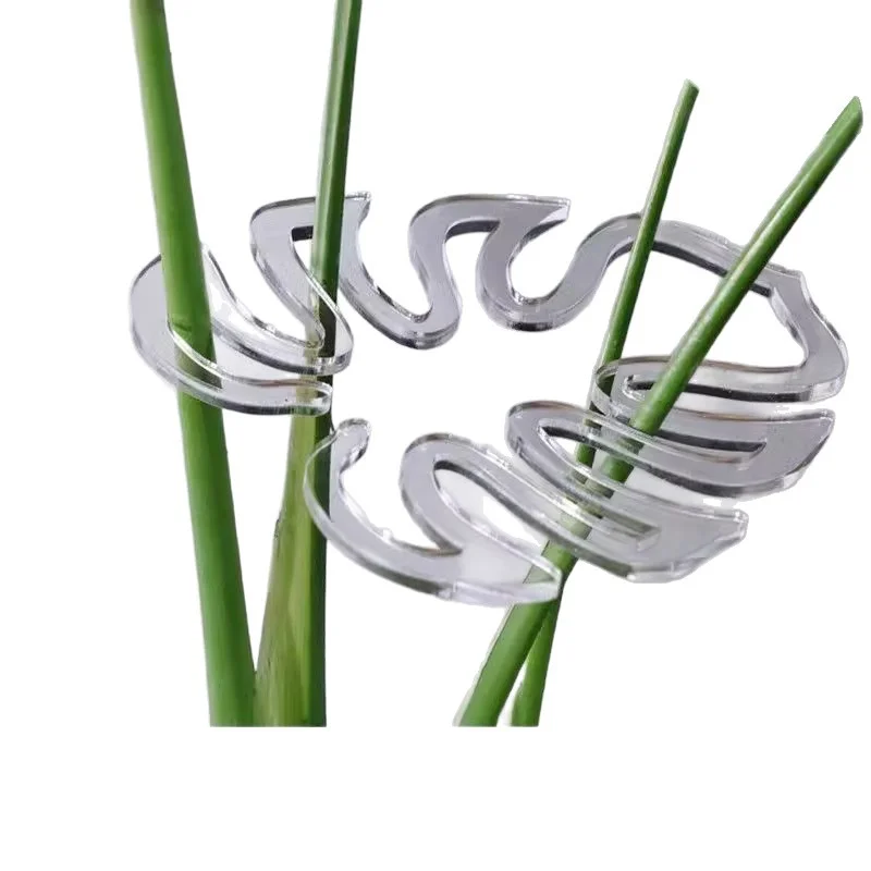 2 шт. монстера, опорные колья для выращивания растений, многоразовые стебли для растений, вертикальные завязки для любителей растений, подарок, аксессуары для растений
2 шт. монстера, опорные колья для выращивания растений, многоразовые стебли для растений, вертикальные завязки для любителей растений, подарок, аксессуары для растений