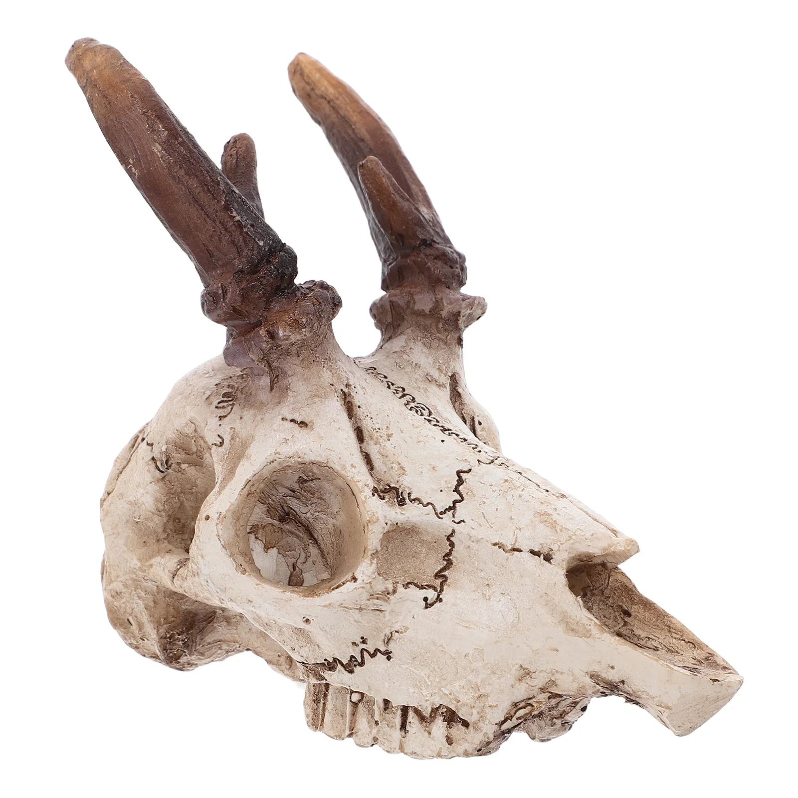 Elk Skull Ornaments Bearded Dragon Hideout Aquarium Decor Reptile Terrarium Decor Durable Resin Lifelike Design Healthy
Elk Skull Ornaments Bearded Dragon Hideout Aquarium Decor Reptile Terrarium Decor Durable Resin Lifelike Design Healthy