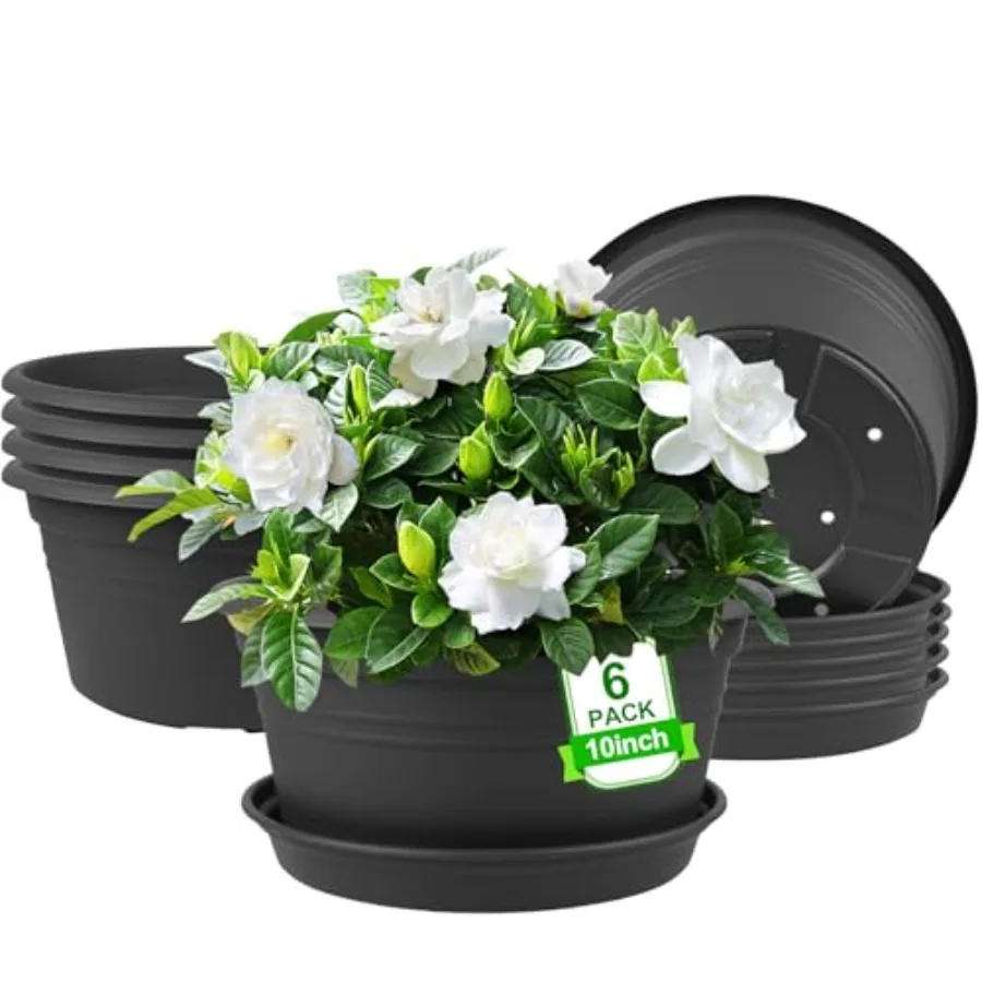 6 Pack Plant Pot, Round Plastic Plant Pots, Outdoor Pots for Plants with Draage Hole and Tray Saucer, Decoration Flower Pots fo
6 Pack Plant Pot, Round Plastic Plant Pots, Outdoor Pots for Plants with Draage Hole and Tray Saucer, Decoration Flower Pots fo